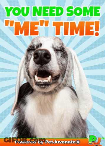 Smiling Dog Saying You Need Some Me Time GIF