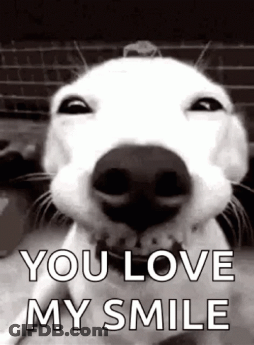 Smiling Dog You Love My Smile GIF