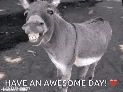 Smiling Donkey Have An Awesome Day GIF
