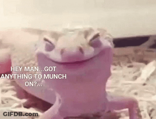 Smiling Lizard Saying Hey Man Got Anything To Munch On GIF