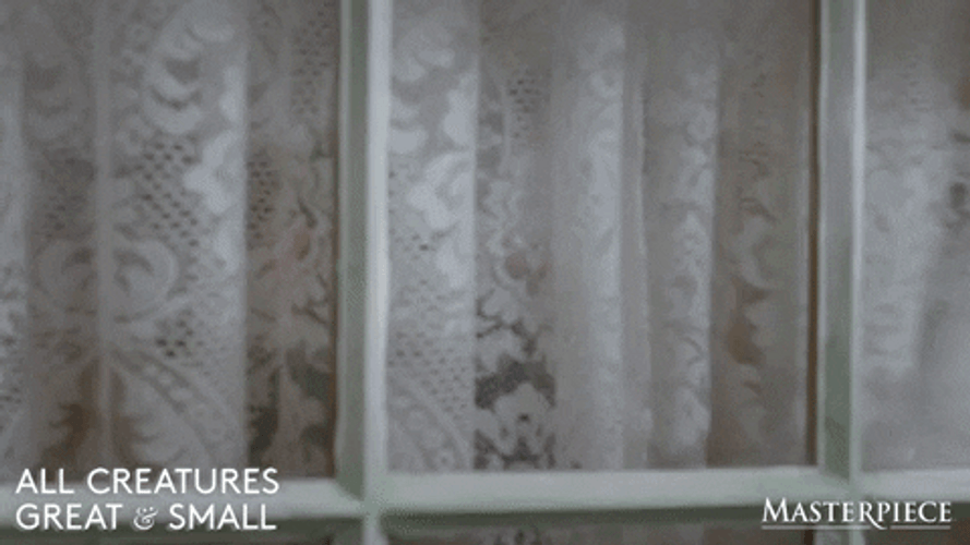 Smiling Man Curtain Opening GIF