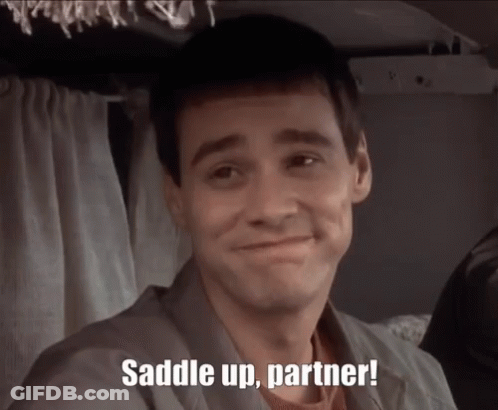 Smiling Man With Saddle Up Partner GIF
