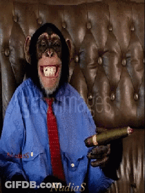 Smiling Monkey Wearing Clothes GIF