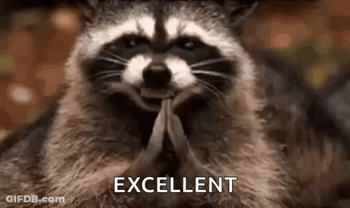 Smiling Raccoon Praying GIF