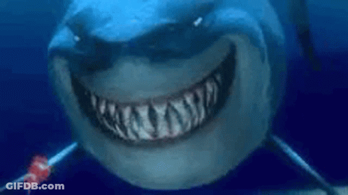Smiling Shark Close Up In Ocean GIF