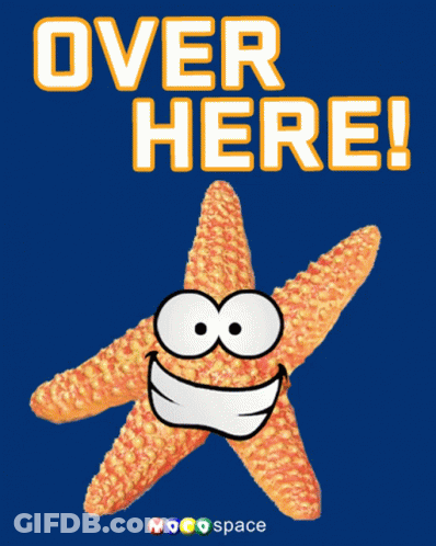 Smiling Starfish Saying Over Here GIF