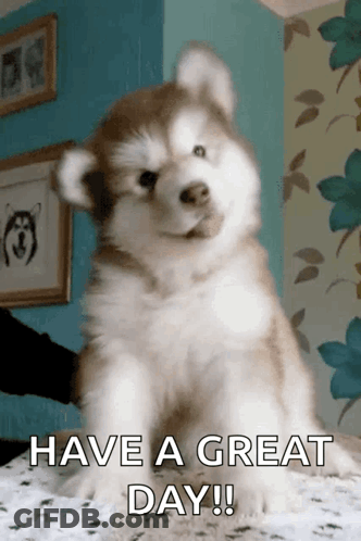 Smiling Sun Holding Coffee Good Morning GIF