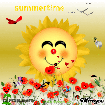Smiling Sun Summertime GIF