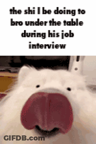 Smiling White Cat Sticking Out Red Tongue GIF