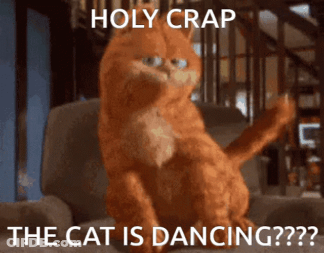 Smirking Garfield Dancing Cat Meme GIF