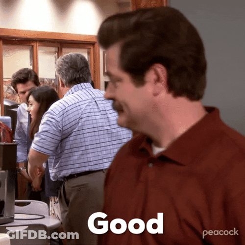 Smirking Ron Swanson Agree Good GIF