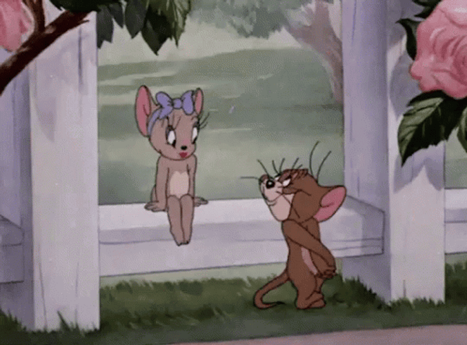 Smitten Jerry The Mouse Tom And Jerry Show GIF