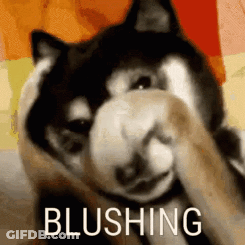 Smitten Shy Dog Blushing GIF