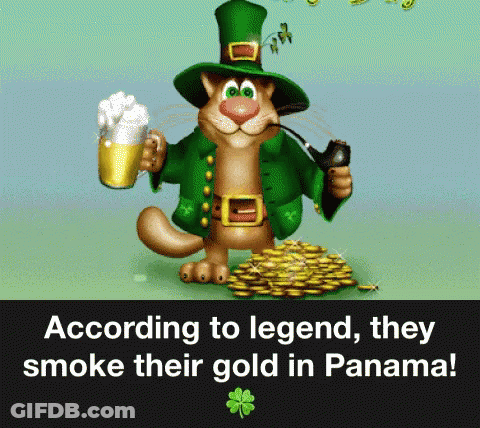 Smoke Their Gold Panama GIF