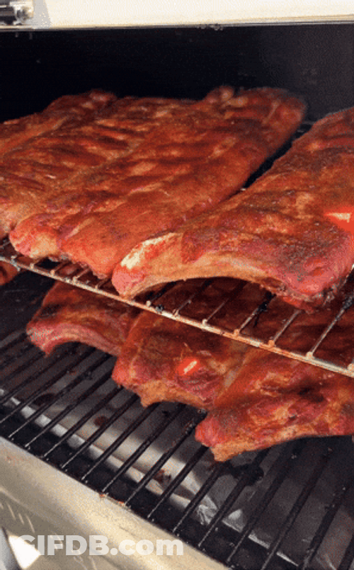 Smoked Pork Ribs GIF