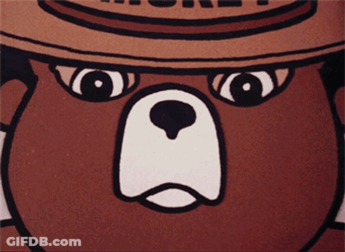 Smokey American Bear Think Animated GIF