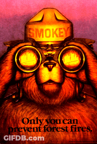 Smokey Bear With Binoculars And Hat GIF