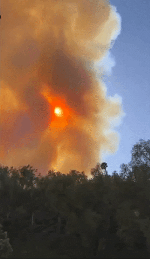Smokey Forest Fire California GIF