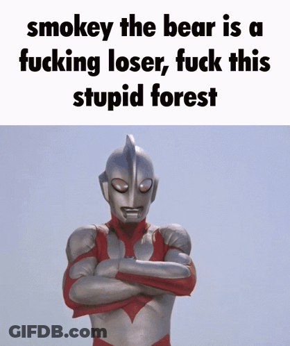 Smokey The Bear Is A Fucking Loser Fuck This Stupid Forest Is Written On A White Background GIF