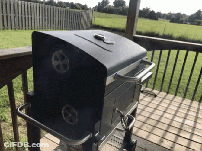 Smoking Cookout Griller GIF