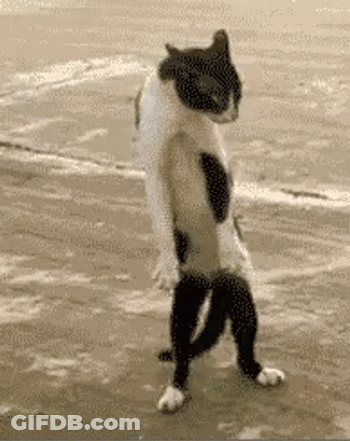 Smooth GIF
