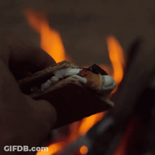 Smores Food GIF