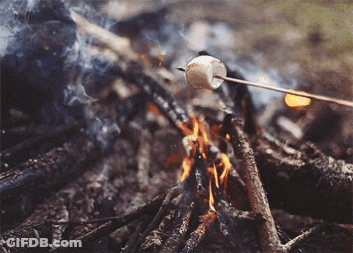 Smores Made On Stick GIF