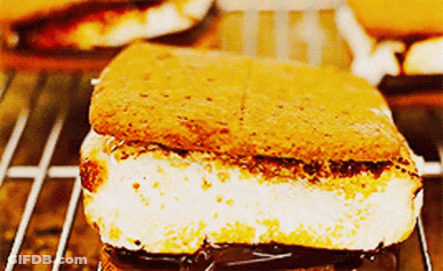 Smores National Smores Day GIF