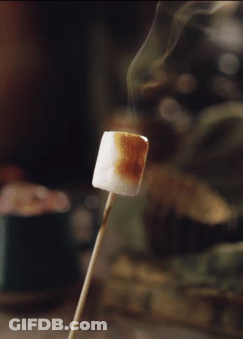 Smores On Stick Glittery Magic GIF