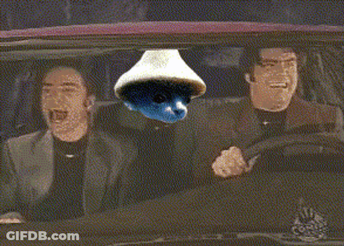 Smurf Cat Night At Roxbury Doug Steve Butabi GIF