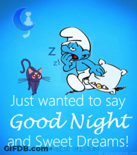 Smurf Sleeping Next To Cat Good Night GIF
