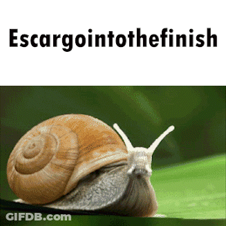 Snail Crawling On Green Leaf Escargointothefinish GIF