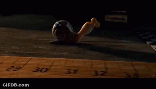 Snail Crawling On Wooden Ruler Number 30 GIF