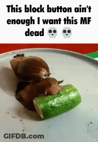 Snail Eating Cucumber This Block Button Ain T Enough GIF