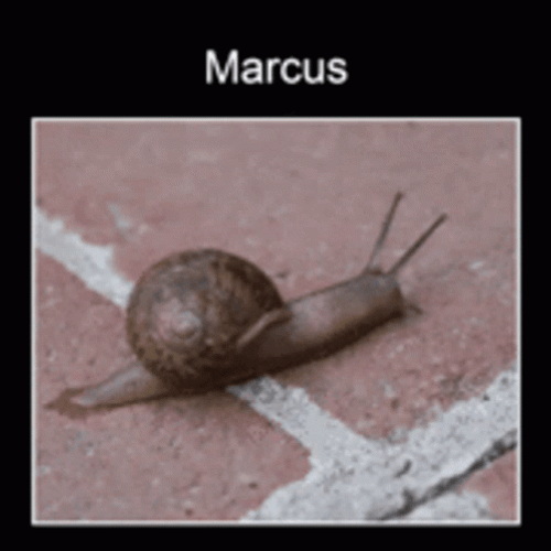 Snail Moving Struggle Meme GIF