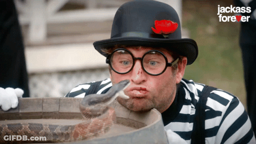 Snake Bites Man's Nose GIF