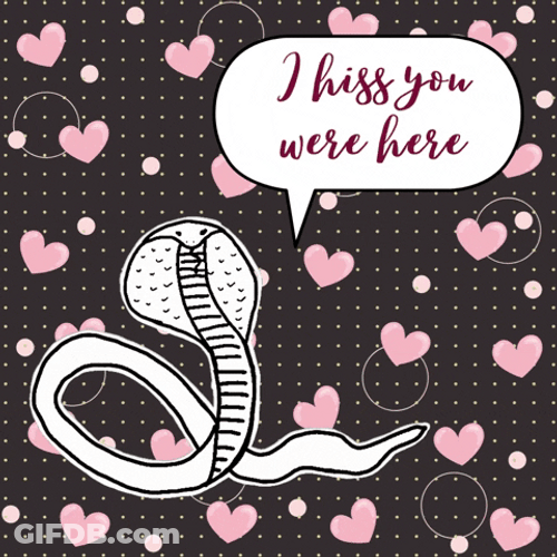 Snake Cobra Miss You Valentine Day Greet GIF
