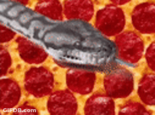 Snake Crawling On Pizza GIF