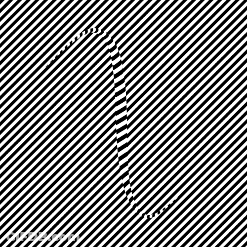 Snake Crawling On Slanted Lines Optic GIF