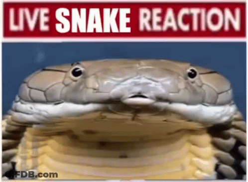 Snake Face With Live Snake Reaction GIF