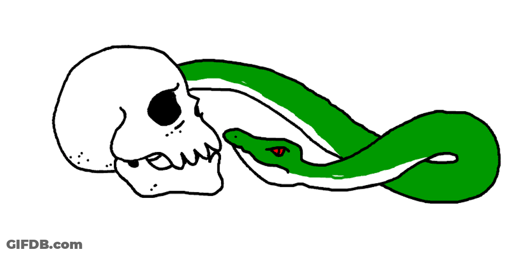 Snake Going Inside The Skull GIF