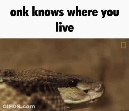 Snake Head With Onk Knows Where You Live GIF