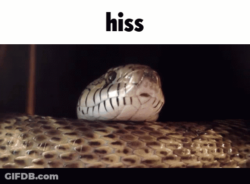 Snake Hiss GIF