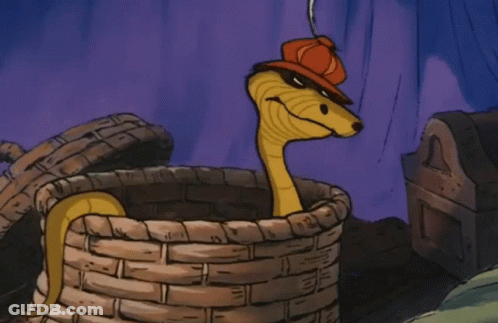 Snake In Basket With Red Hat GIF
