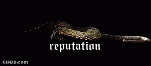 Snake Laying Down With Reputation GIF
