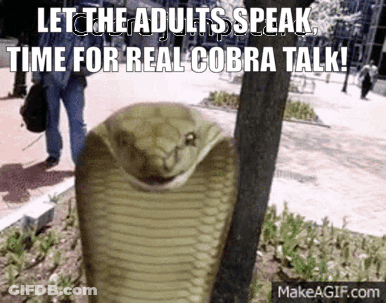 Snake Let The Adults Speak Time For Real Cobra Talk GIF