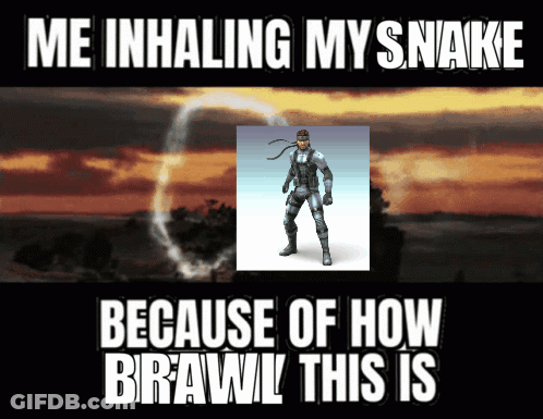 Snake Me Inhaling My Snake How Brawl This Is GIF