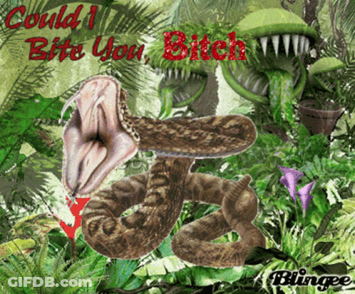 Snake Saying Could I Bite You Bitch GIF