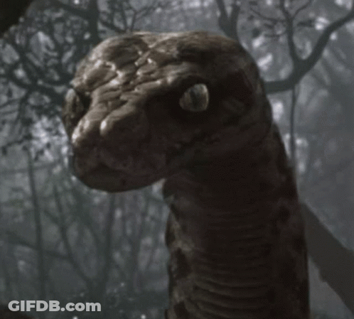 Snake Saying I Know What You Are GIF