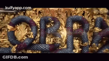 Snake Shaped Like Letter R GIF